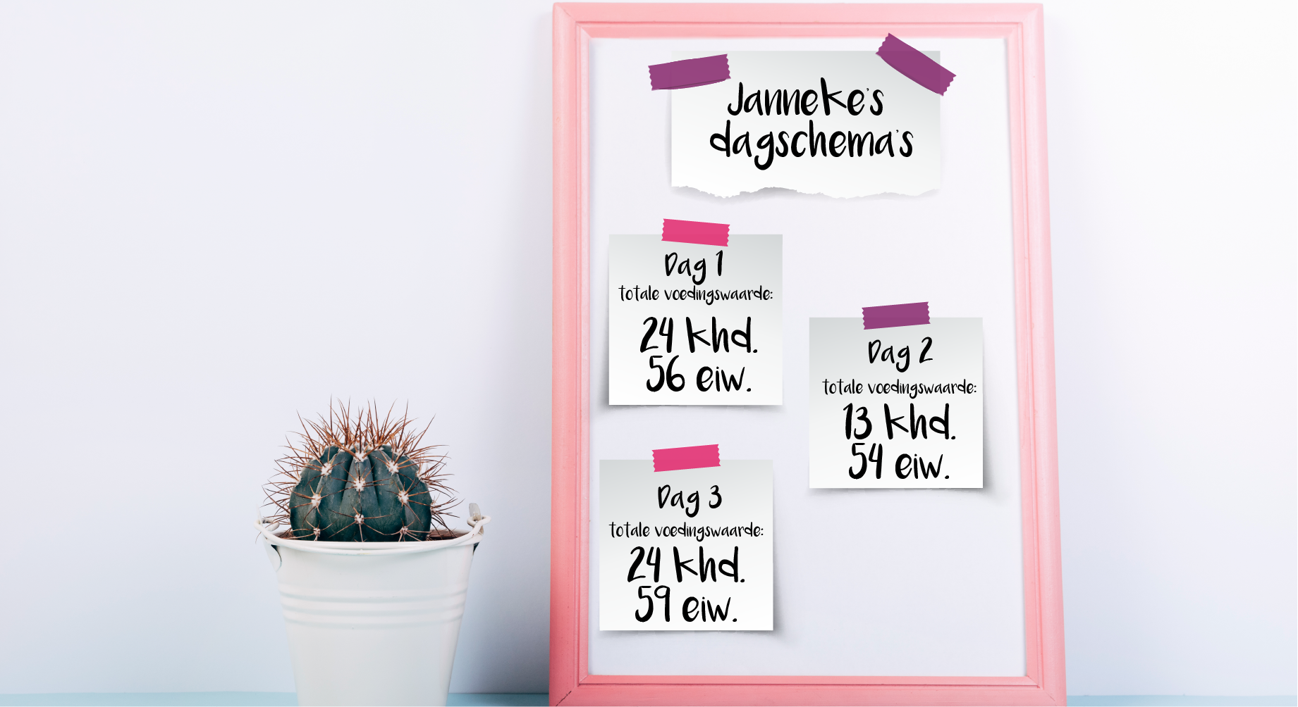 Janneke's dagschema